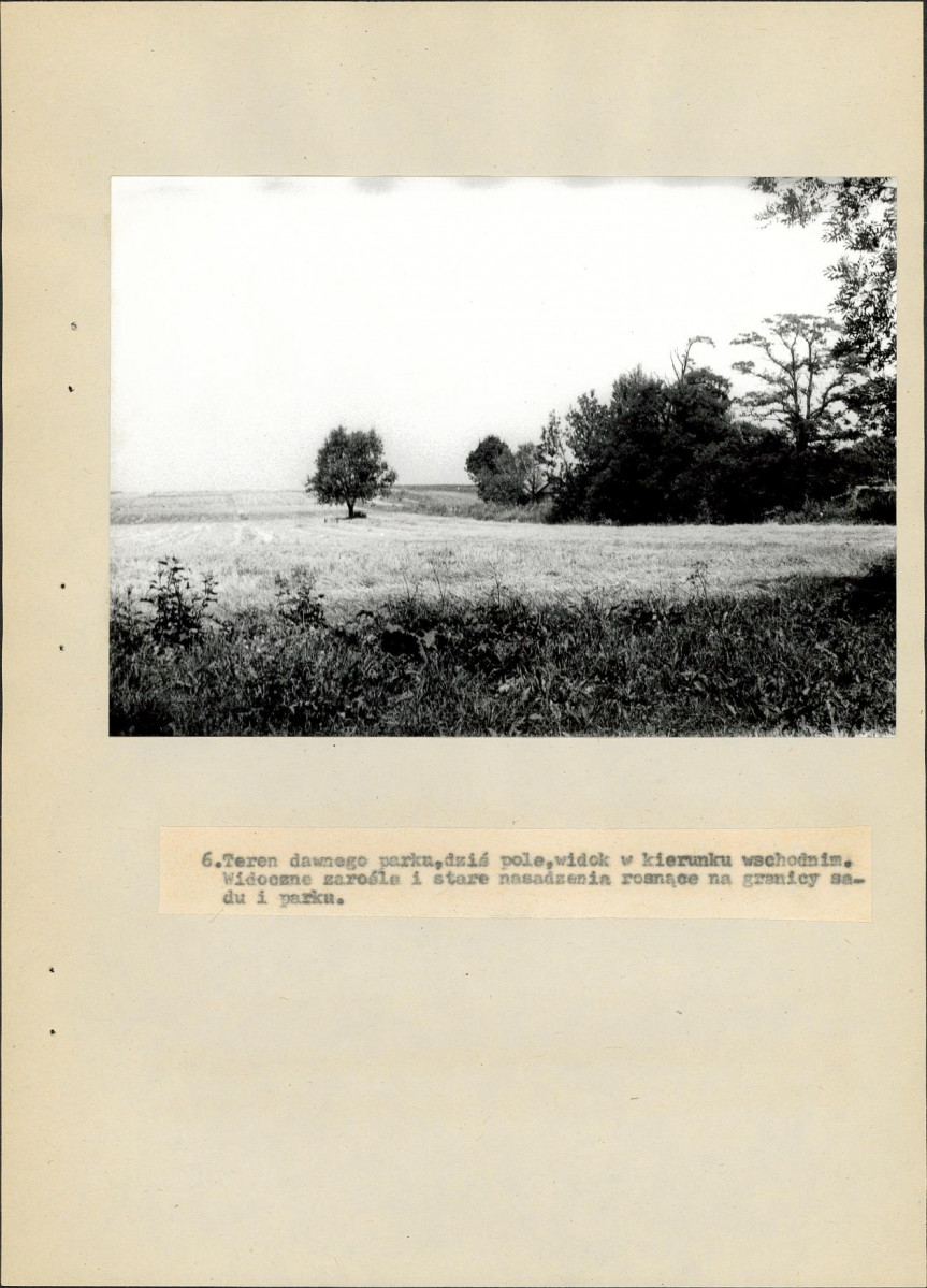 Ewidencja parkowa, skan nr 31