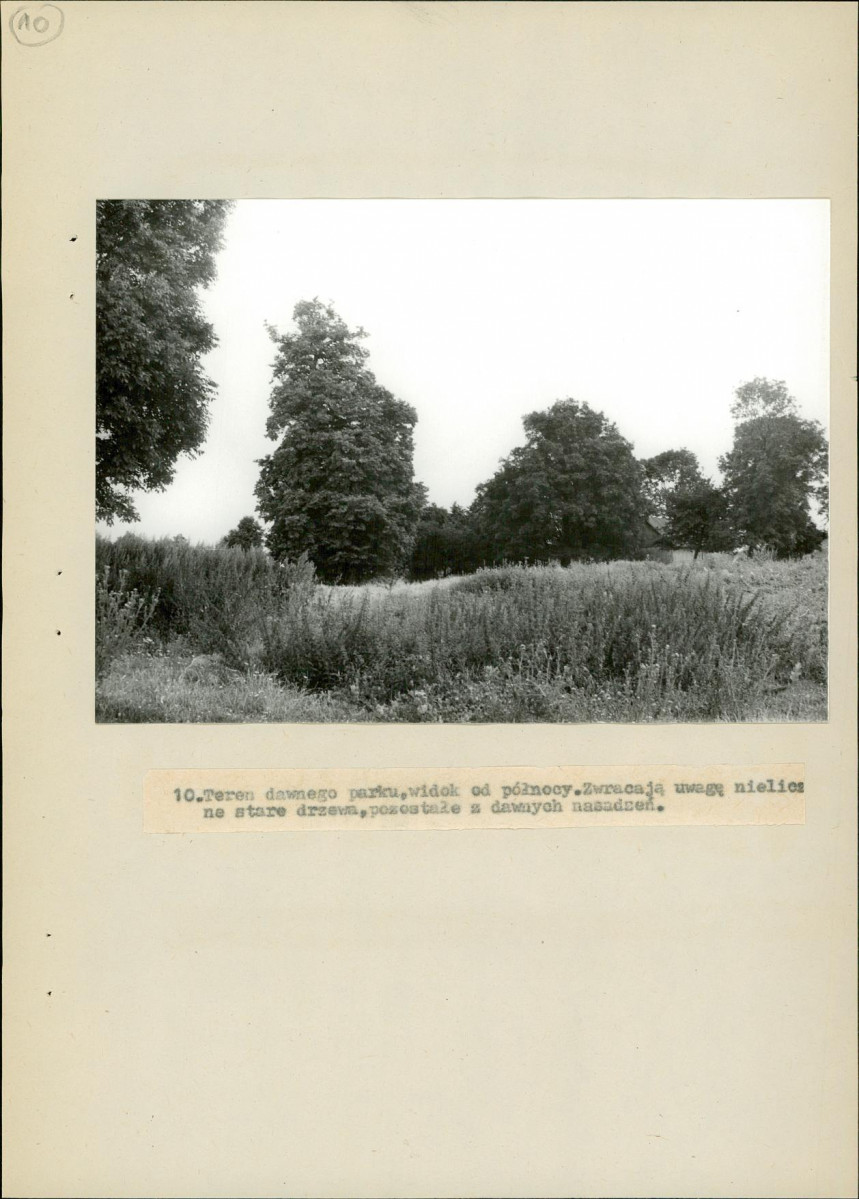 Ewidencja parkowa, skan nr 42