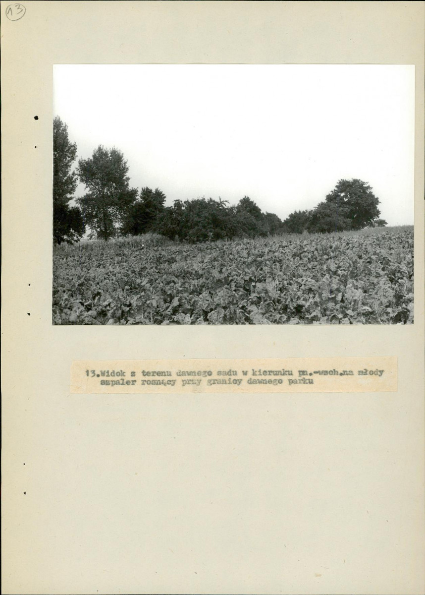 Ewidencja parkowa, skan nr 45