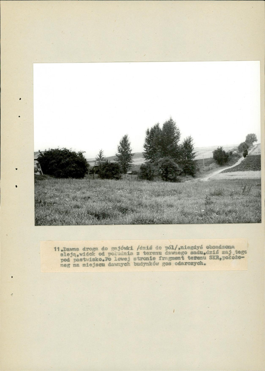 EP - Ewidencja parkowa, skan nr 36