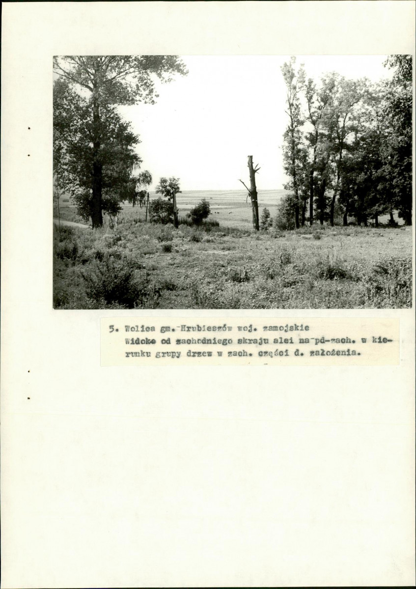 EP - Ewidencja parkowa, skan nr 28