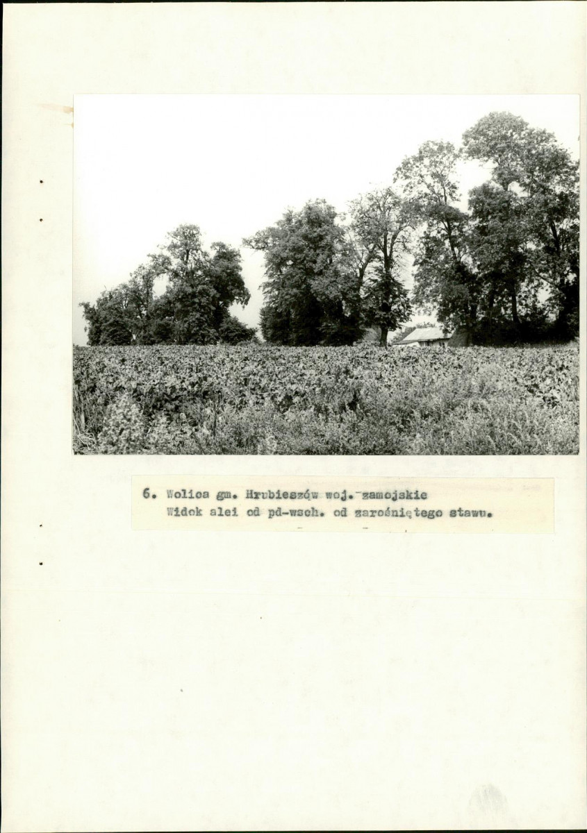EP - Ewidencja parkowa, skan nr 29