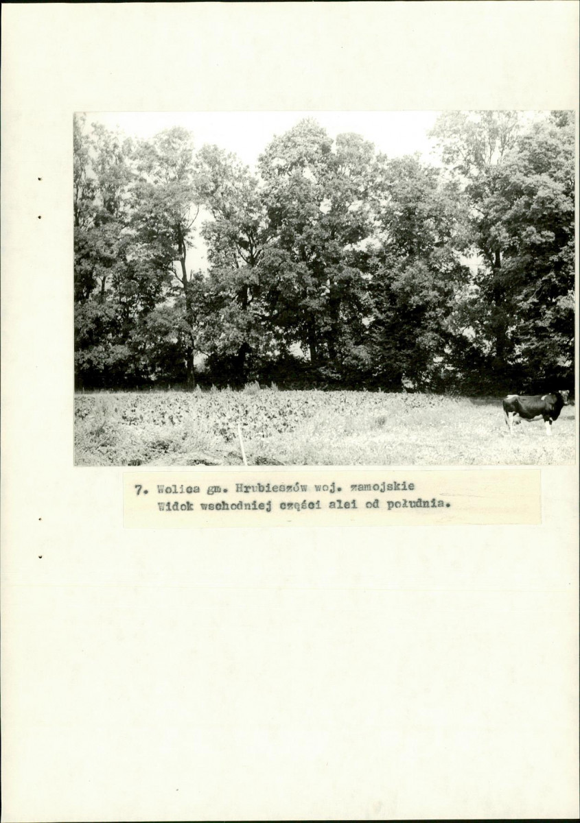 EP - Ewidencja parkowa, skan nr 30