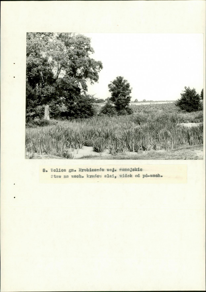 EP - Ewidencja parkowa, skan nr 31