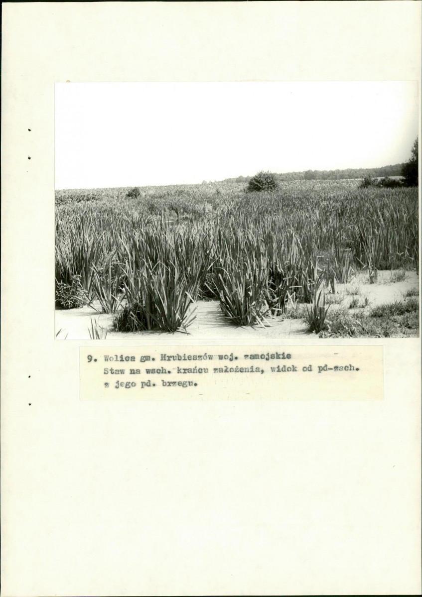 EP - Ewidencja parkowa, skan nr 32