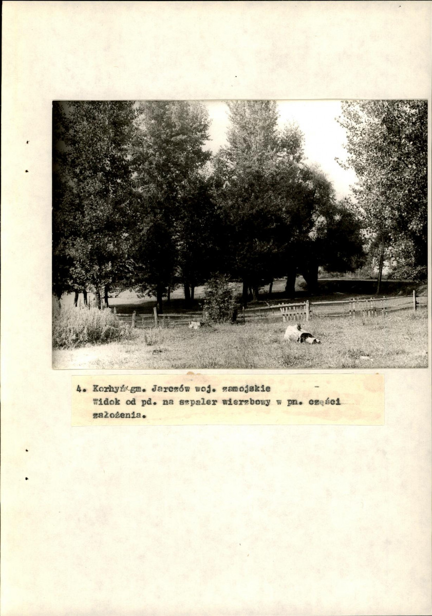 Ewidencja parkowa, skan nr 30