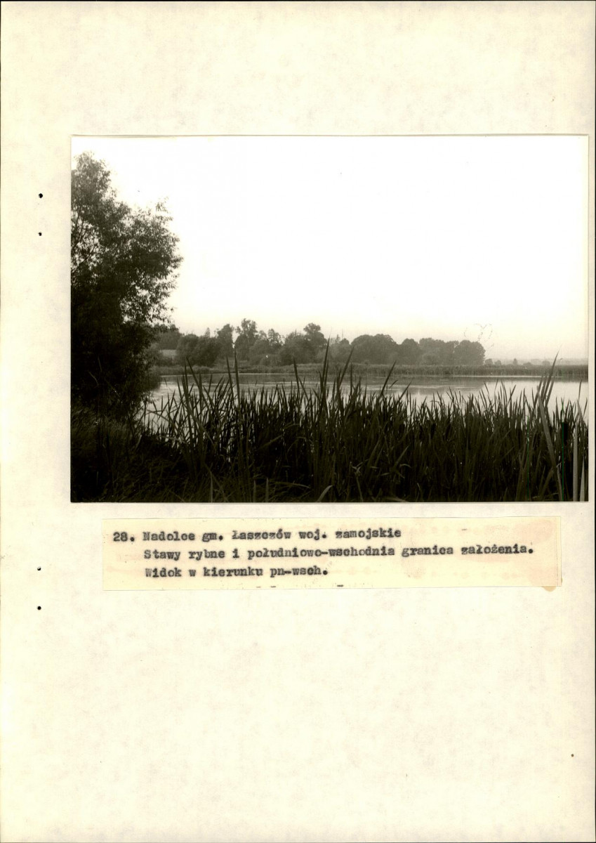 EP - Ewidencja parkowa, skan nr 62