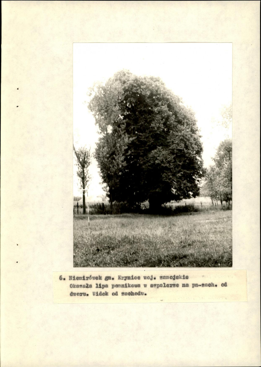 Ewidencja parkowa, skan nr 33