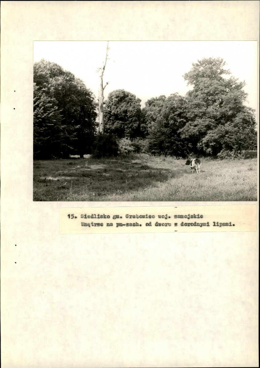 Ewidencja parkowa, skan nr 51
