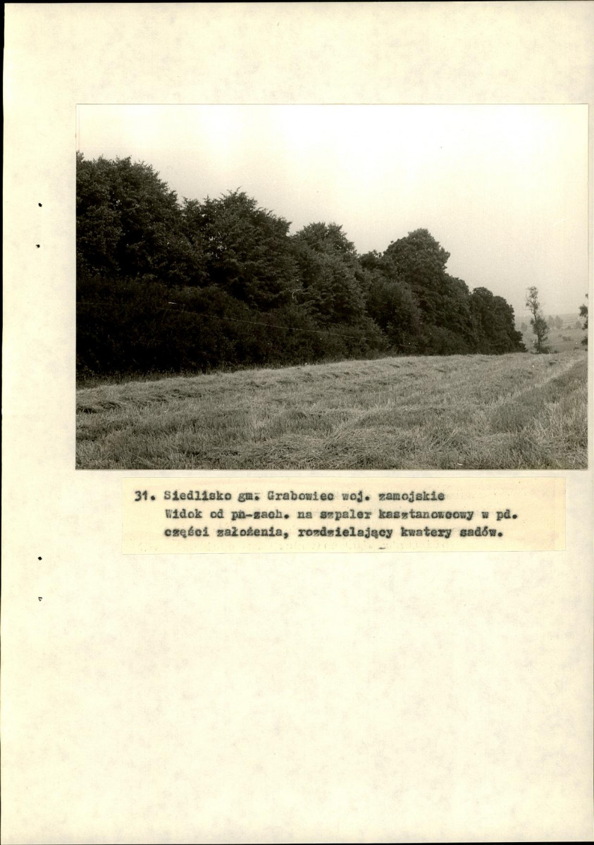 Ewidencja parkowa, skan nr 67