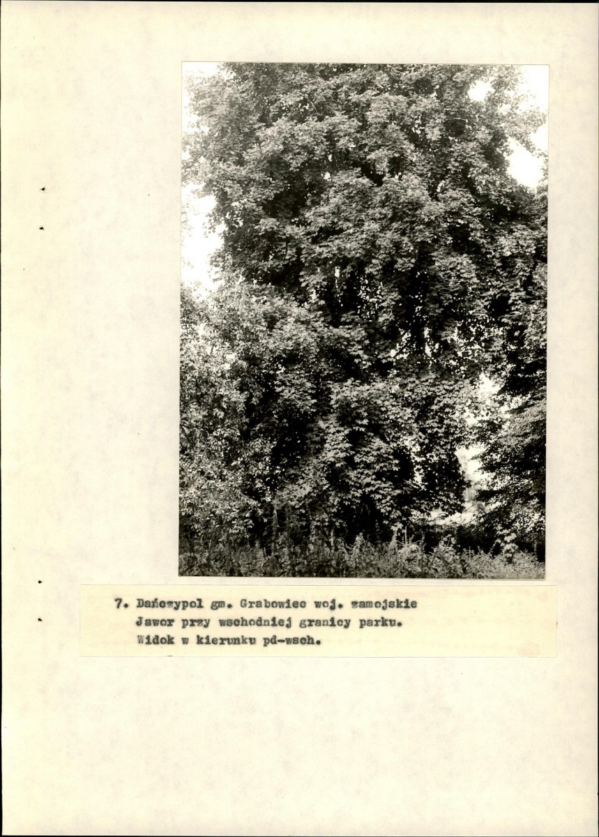 EP - Ewidencja parkowa, skan nr 35