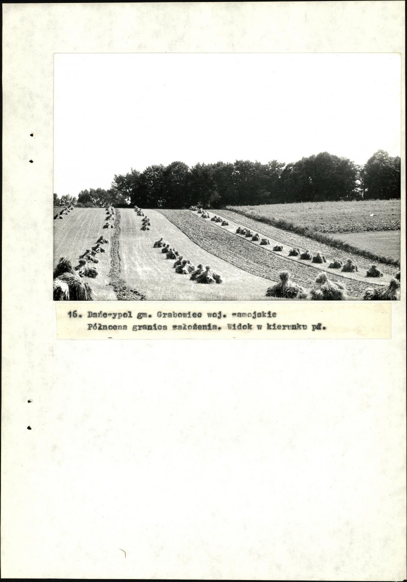 EP - Ewidencja parkowa, skan nr 44