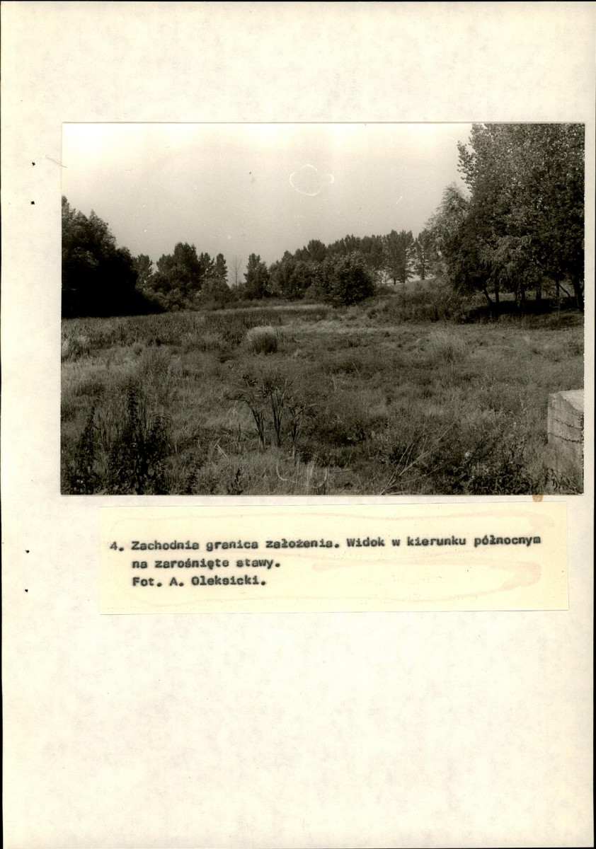 EP - Ewidencja parkowa, skan nr 31