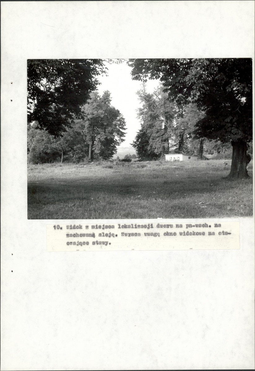 Ewidencja parkowa, skan nr 37