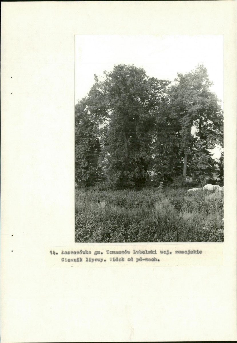 Ewidencja parkowa, skan nr 41