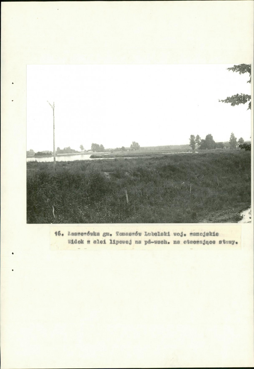 Ewidencja parkowa, skan nr 43