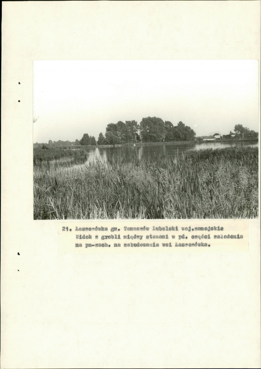 Ewidencja parkowa, skan nr 48