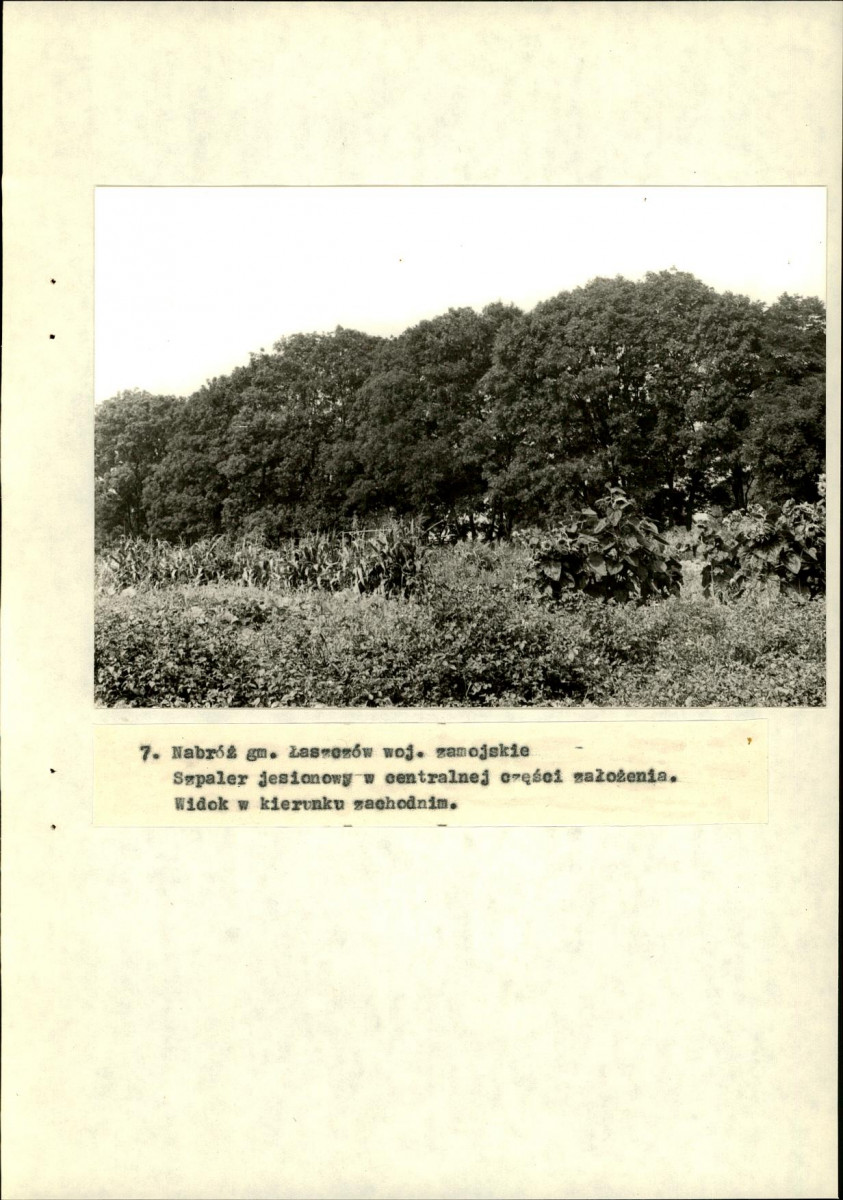 EP - Ewidencja parkowa, skan nr 35