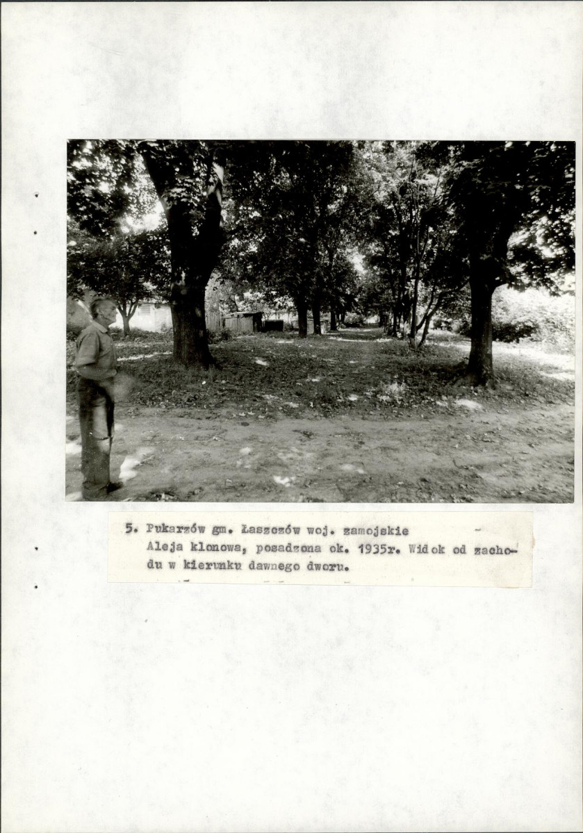 Ewidencja parkowa, skan nr 39
