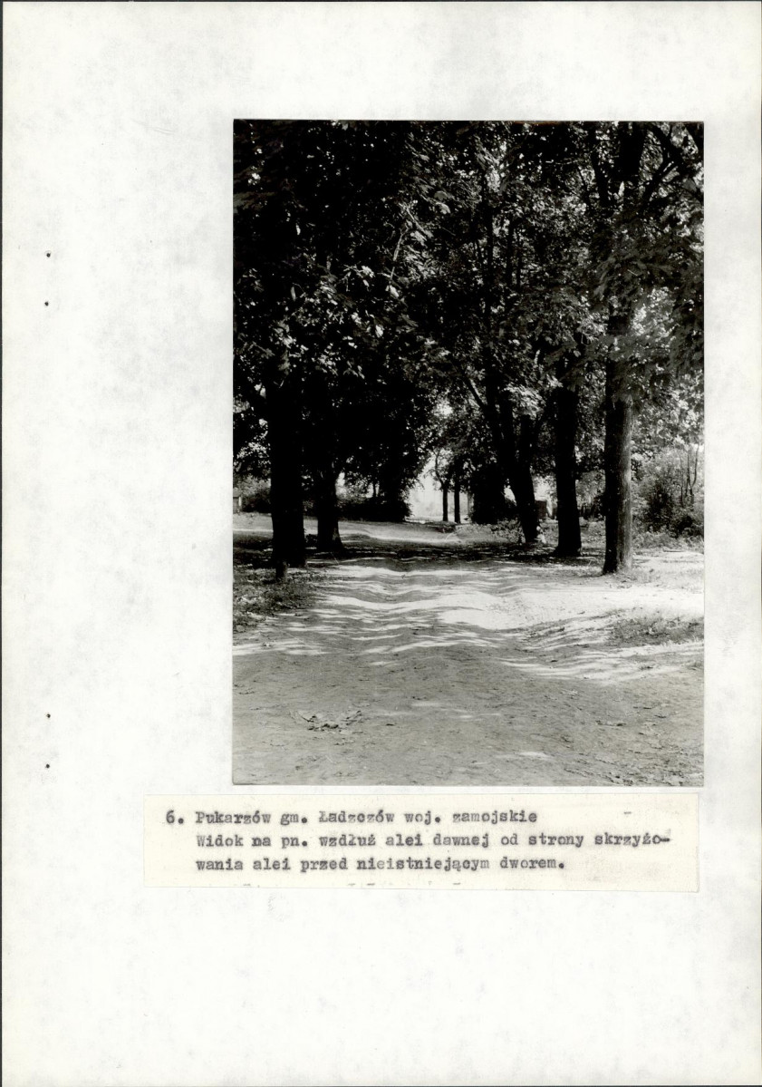 Ewidencja parkowa, skan nr 40