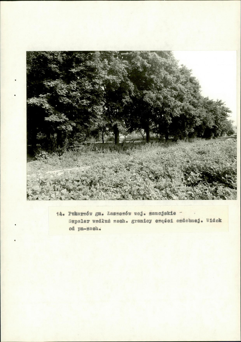 Ewidencja parkowa, skan nr 48