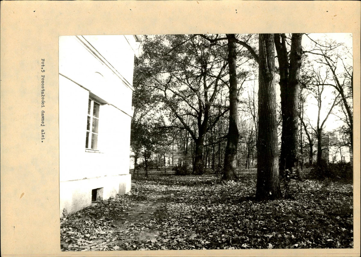 Ewidencja parkowa, skan nr 32