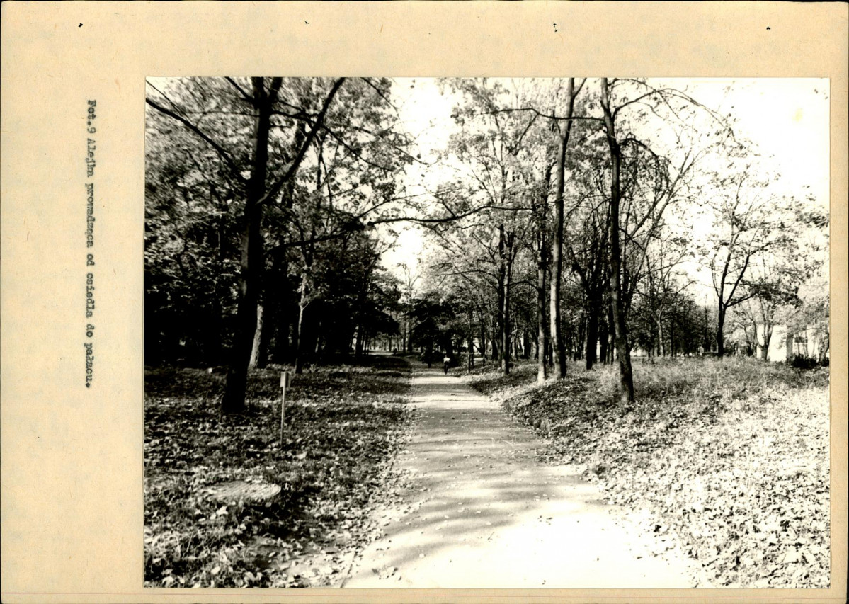 Ewidencja parkowa, skan nr 36