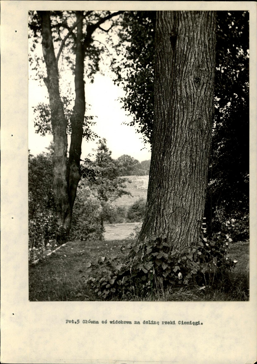 Ewidencja parkowa, skan nr 24