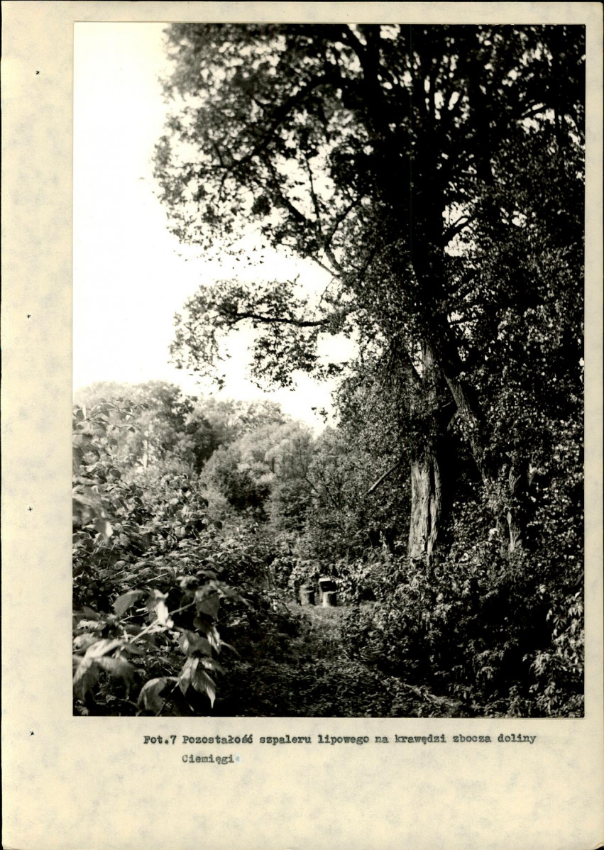 Ewidencja parkowa, skan nr 26