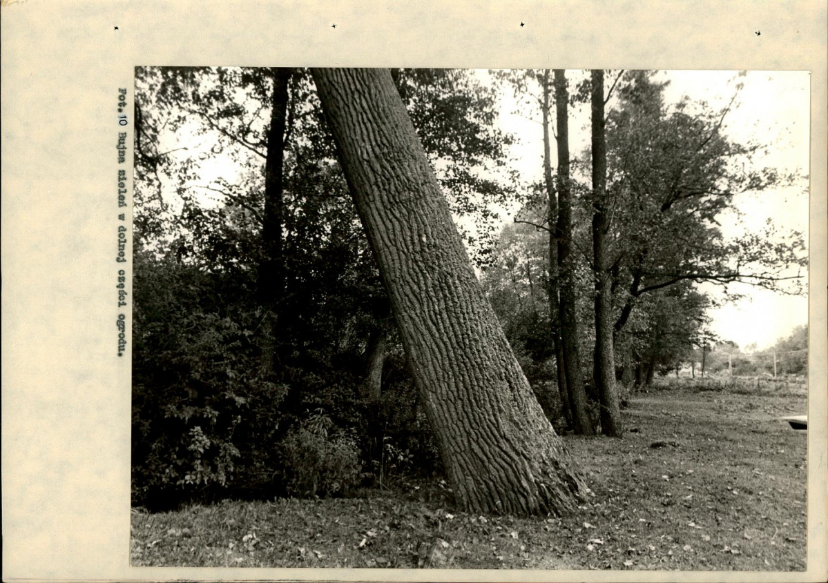 Ewidencja parkowa, skan nr 29