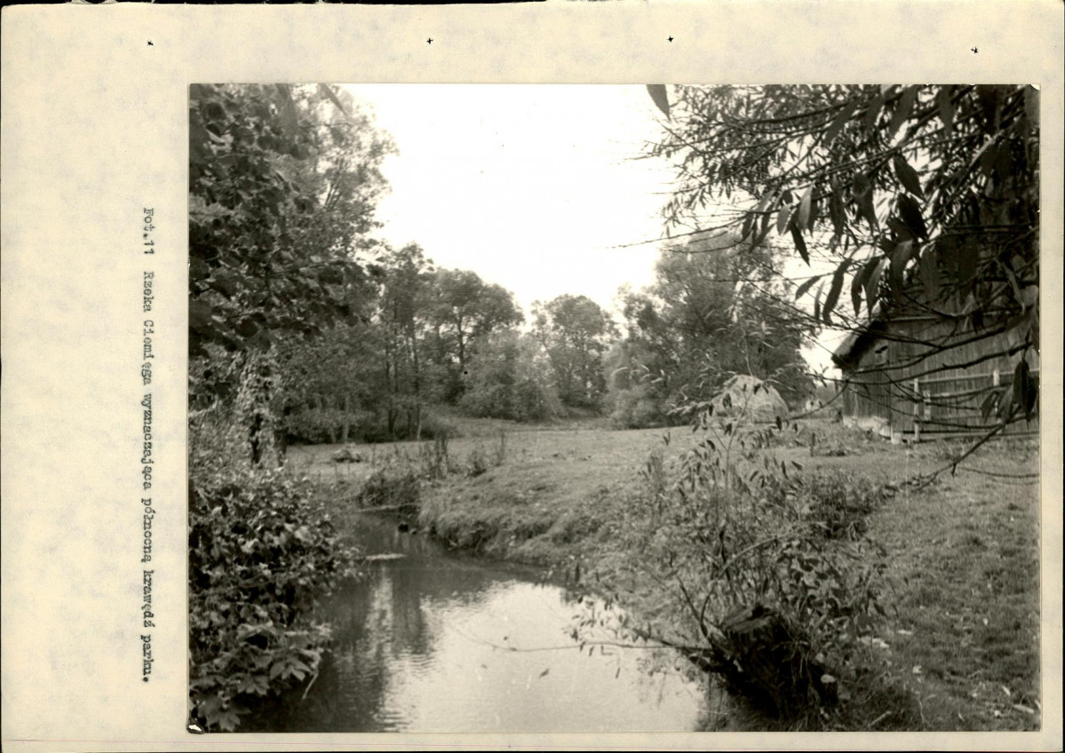 Ewidencja parkowa, skan nr 30