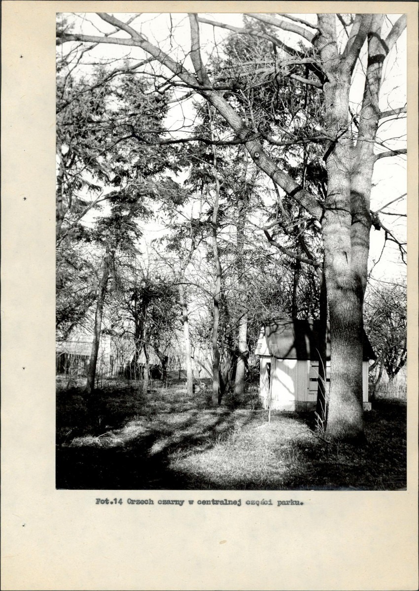 EP - Ewidencja parkowa, skan nr 43