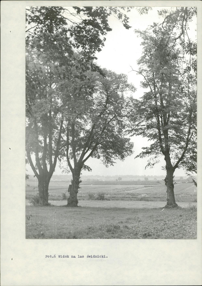 Ewidencja parkowa, skan nr 26