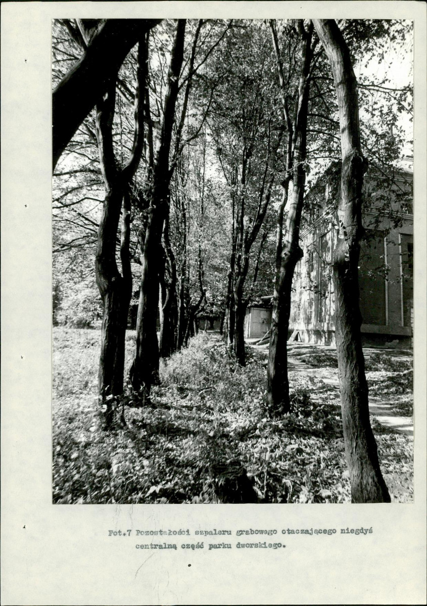 Ewidencja parkowa, skan nr 34