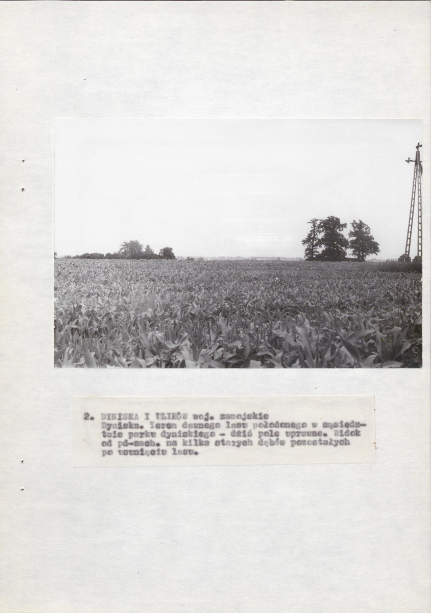 EP - Ewidencja parkowa, skan nr 23