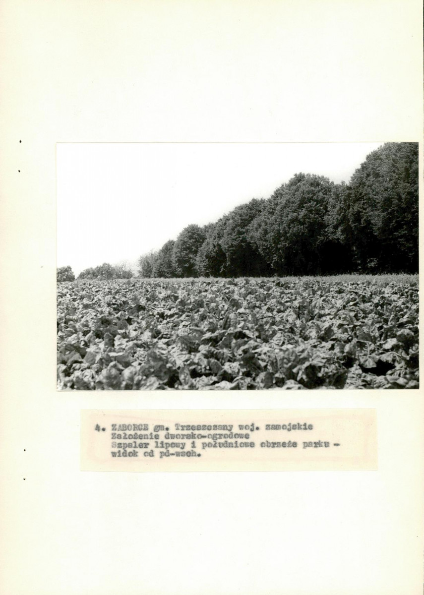 EP - Ewidencja parkowa, skan nr 30