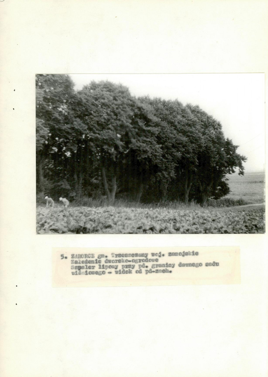 EP - Ewidencja parkowa, skan nr 31
