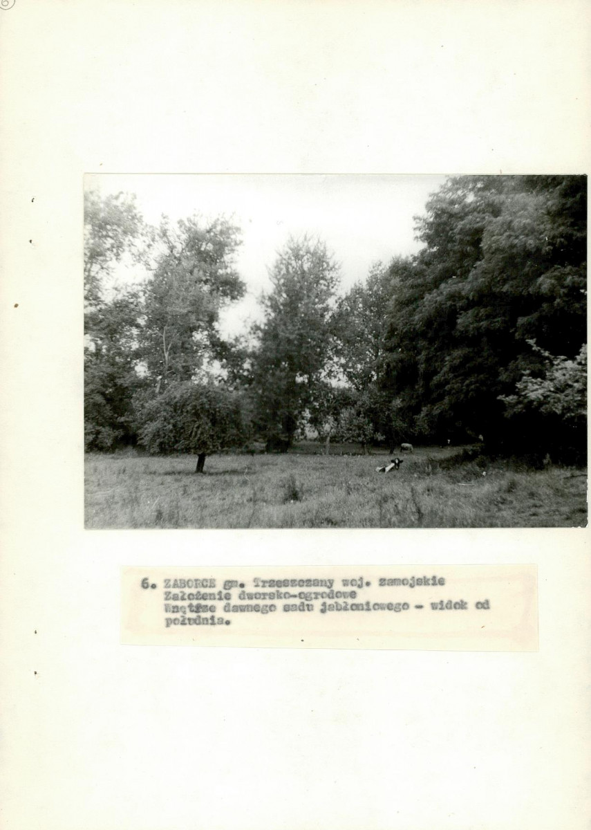 EP - Ewidencja parkowa, skan nr 32