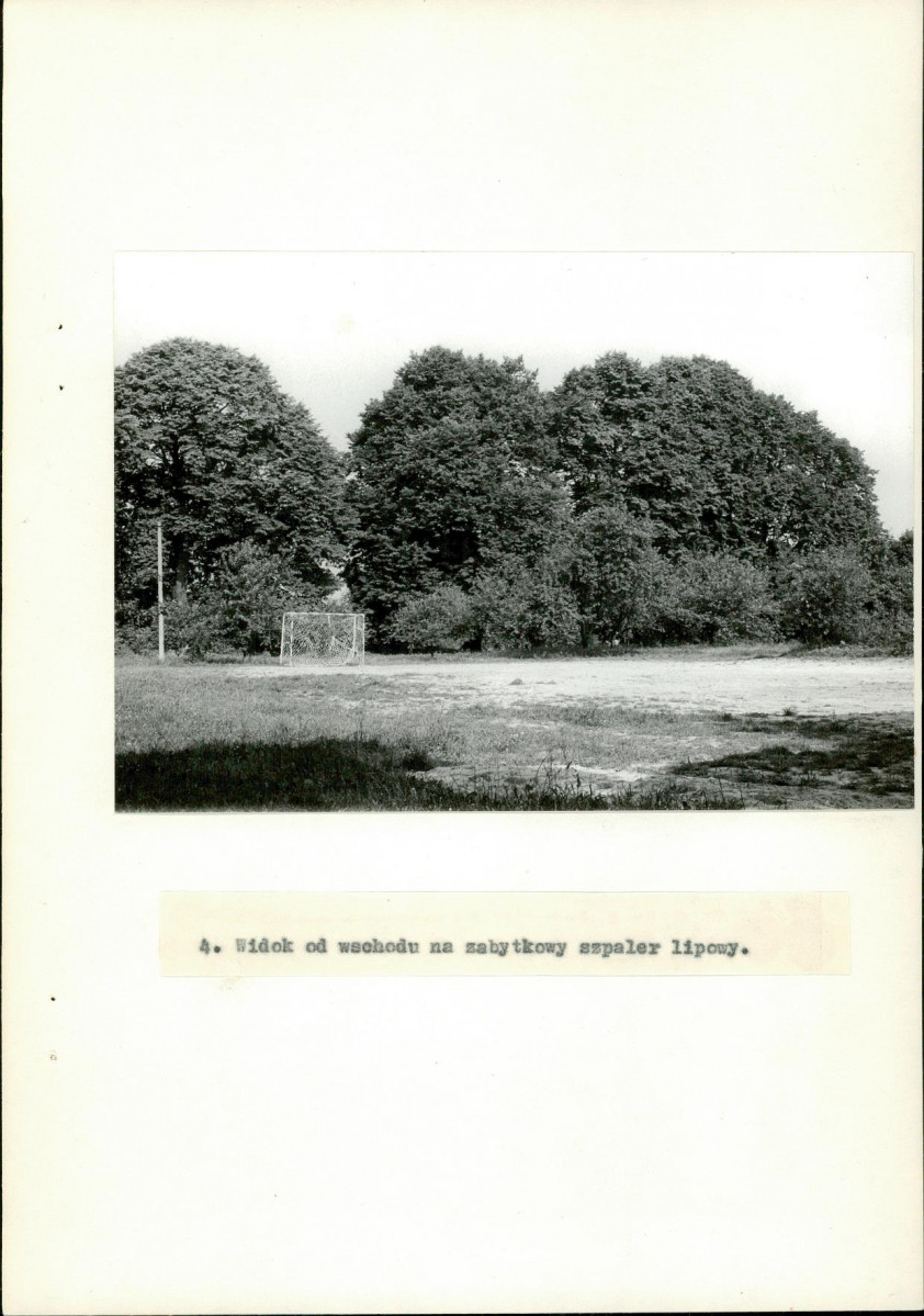 Ewidencja parkowa, skan nr 25