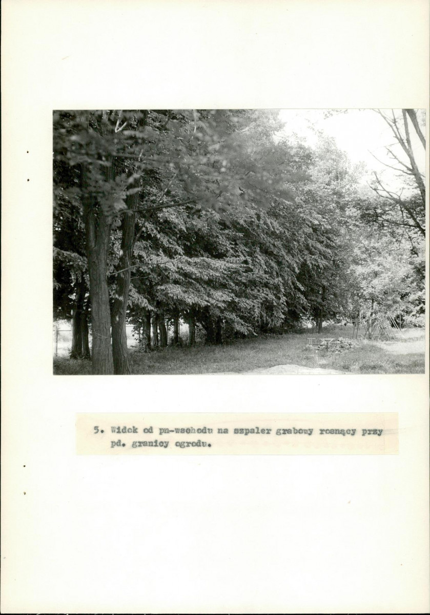 Ewidencja parkowa, skan nr 26