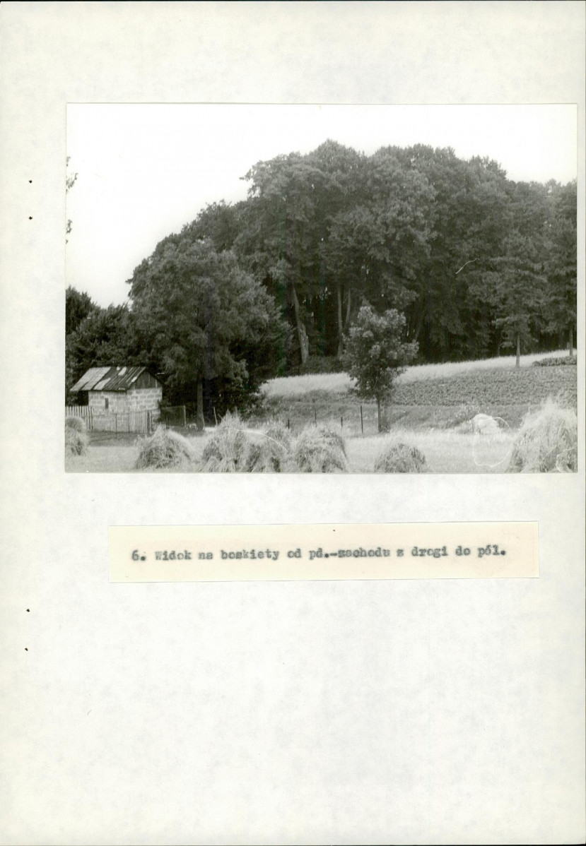 EP - Ewidencja parkowa, skan nr 40