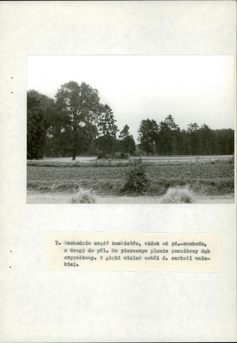 EP - Ewidencja parkowa, skan nr 41