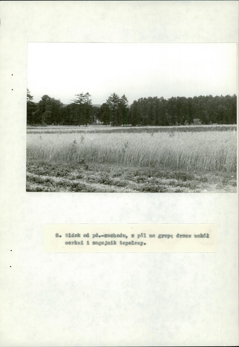EP - Ewidencja parkowa, skan nr 42