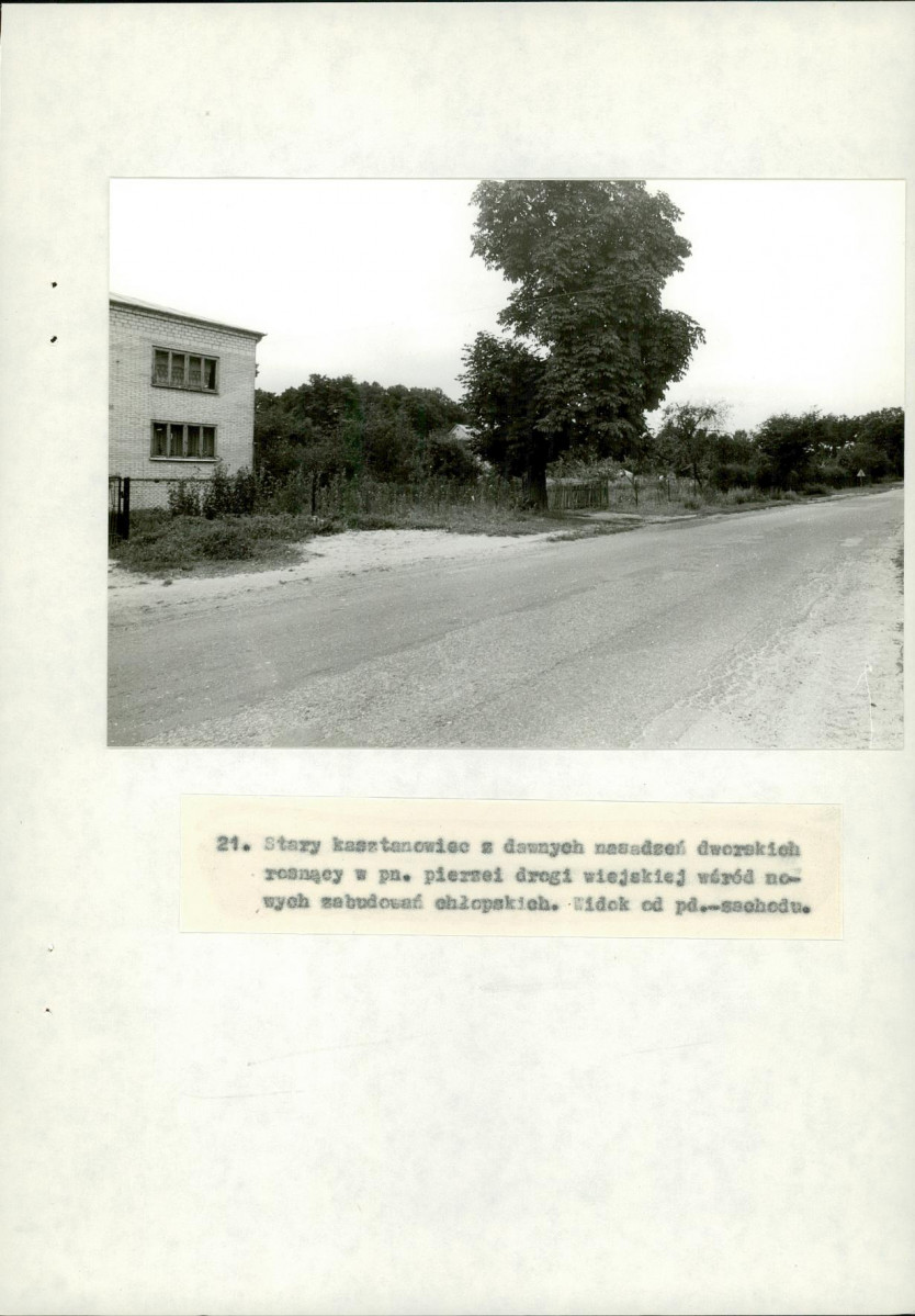 EP - Ewidencja parkowa, skan nr 55