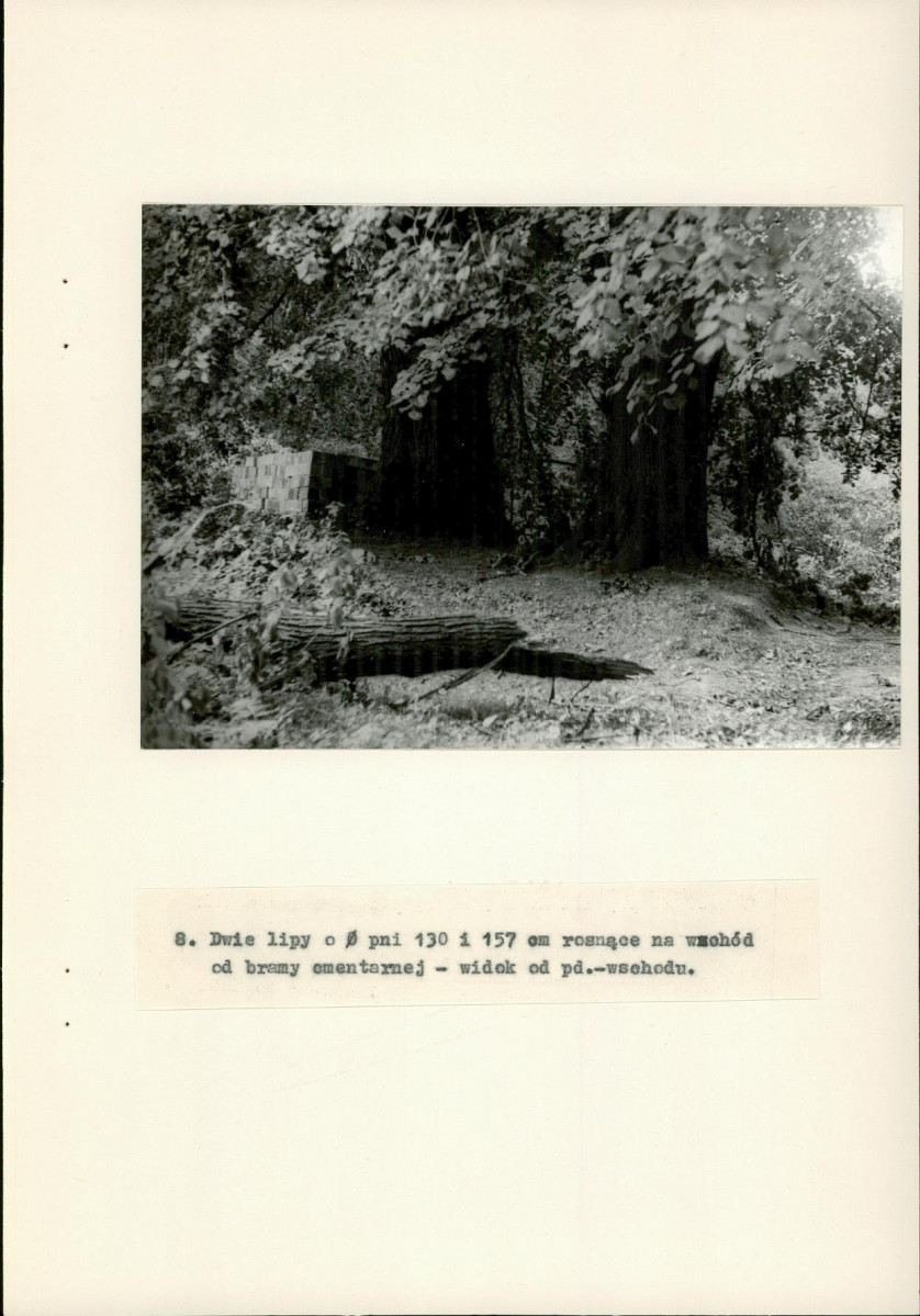 Ewidencja parkowa, skan nr 33