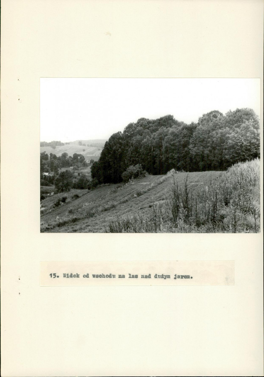 Ewidencja parkowa, skan nr 40