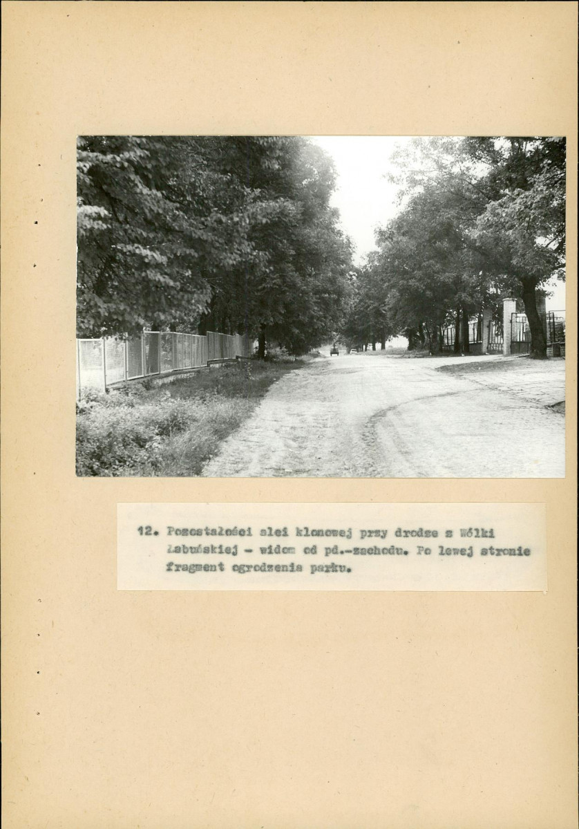 Ewidencja parkowa, skan nr 48
