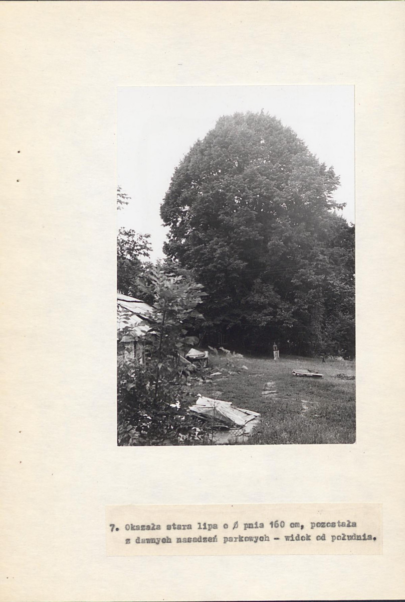 Ewidencja parkowa, skan nr 34