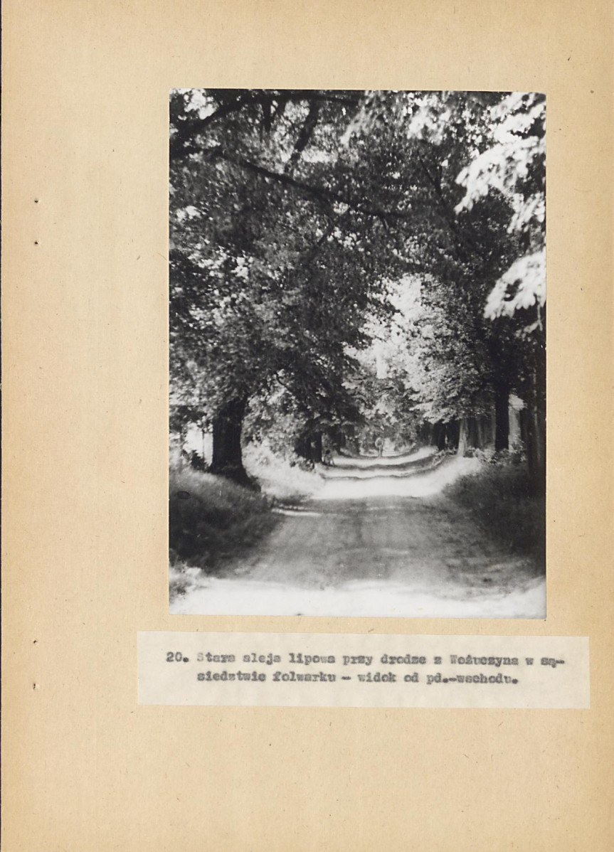 EP - Ewidencja parkowa, skan nr 60