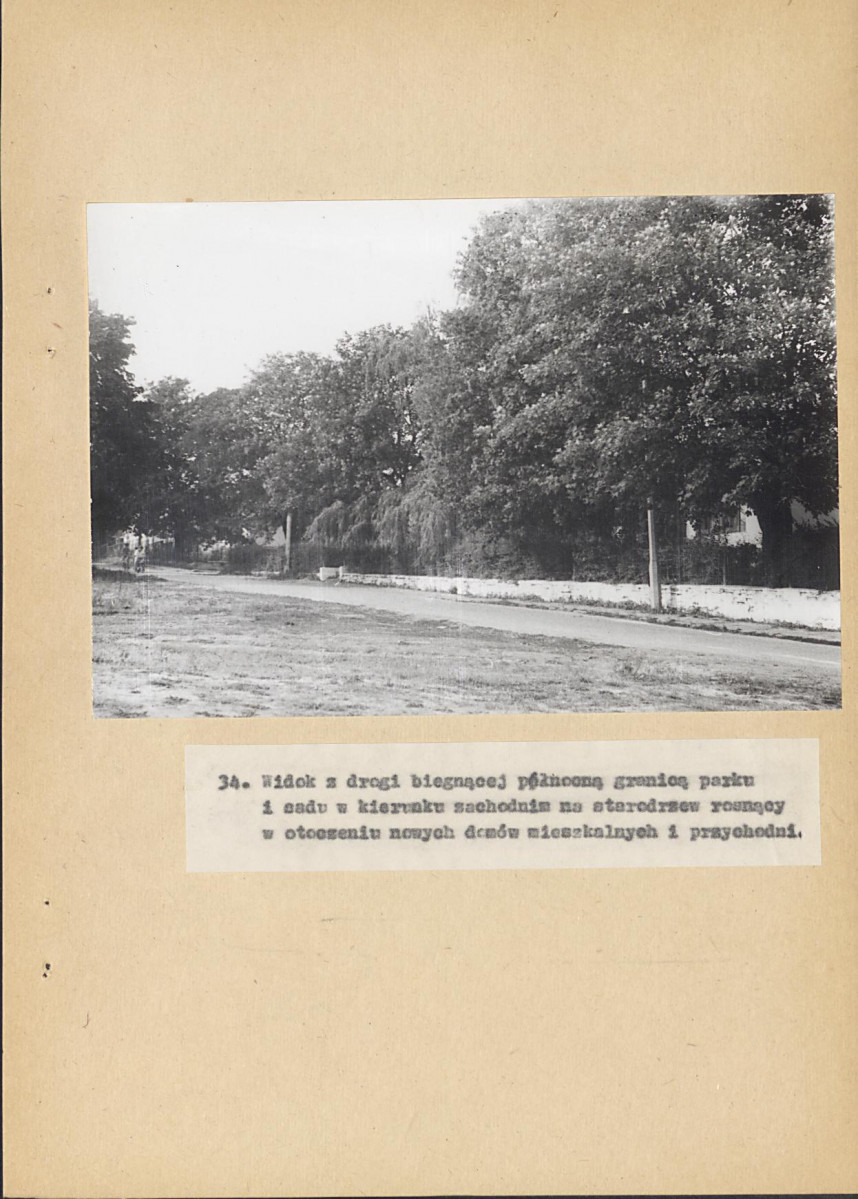EP - Ewidencja parkowa, skan nr 74